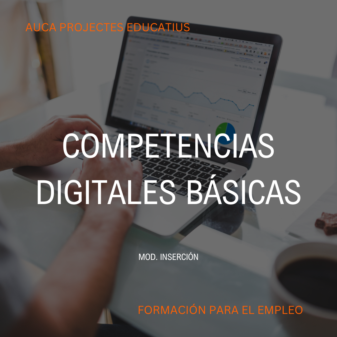 Competencias Digitales B Sicas Auca